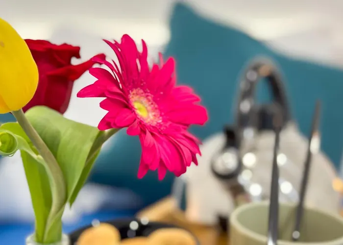 Orchidea & Ortensia * Кьоджа