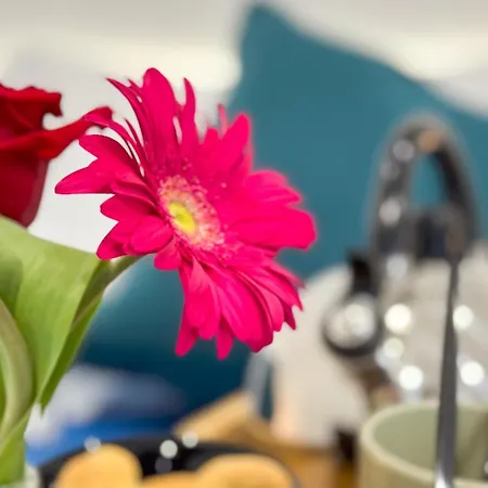 Orchidea & Ortensia * Chioggia