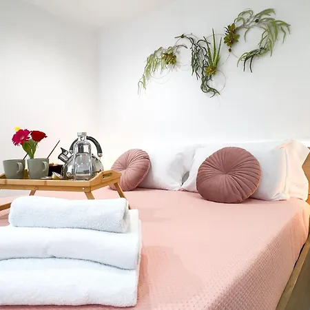 Orchidea & Ortensia Apartment Chioggia